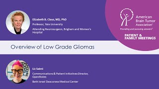 Overview of Low Grade Gliomas [upl. by Husch]