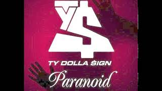 Ty Dolla Sign  Paranoid no rap [upl. by Yadseut]