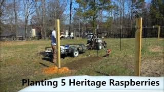 Part 2  Time Lapse  Building a muscadine  grape  raspberry  blackberry trellis [upl. by Llechtim]