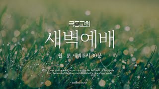 20241108 극동교회 새벽예배  사도행전 2124 [upl. by Magdalen]