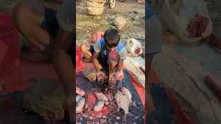 Amazing Big Poti Fish Super First Cutting fish fishcutting fishcuttingskills youtubeshorts [upl. by Aiekat350]