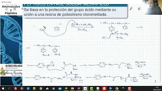 TEMA 23 AMINOÃCIDOS Y PÃ‰PTIDOS  2317 SINTESIS DE PÃ‰PTIDOS EN FASE SÃ“LIDA MERRIFIELD [upl. by Staten134]