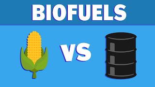 What are Biofuels and Where are They Going [upl. by Nava941]