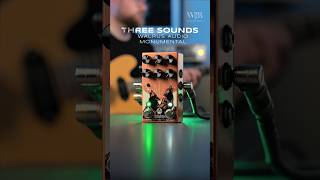 Three Sounds Walrus Audio Monumental Stereo Tremolo [upl. by Virginia]