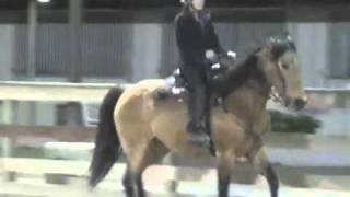 Tennessee Walking Horse How to Canter [upl. by Annairdna]