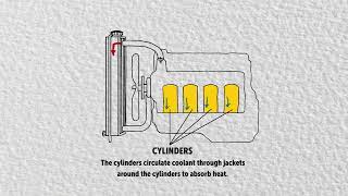 How Radiators Work Diagram [upl. by Mayfield909]