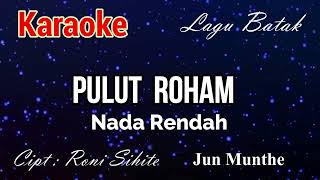 Karaoke  Pulut Roham Fdo Nada Rendah [upl. by Absalom]