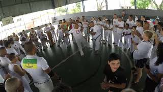 brazilian martial arts capoeira performance MESTRE JOÃO BAHIA CAÇAPAVA SP [upl. by Raama]