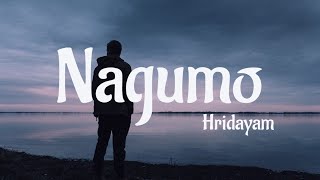 Nagumo LyricsHridayam [upl. by Ahen702]