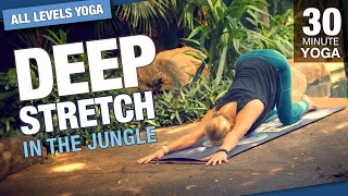 30 Minute Deep Stretch Jungle Yoga Class  Five Parks Yoga [upl. by Neehs]