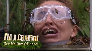 Ferne Spencer and Vicky Face Terrifying Bushtucker Trial  Im A Celebrity Get Me Out Of Here [upl. by Swift588]