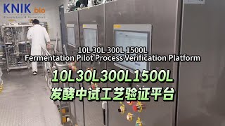 10L 30L 300L 1500L Fermentation Pilot Process Verification Platform fermenter bioreactor [upl. by Llenahs]