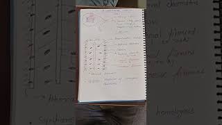 SYNAPTONEMAL COMPLEX SNC [upl. by Ludovico]