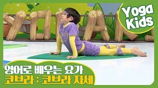 변비 Constipation I Cobra Pose I Hello Yoga Kids 21회 [upl. by Graehme]