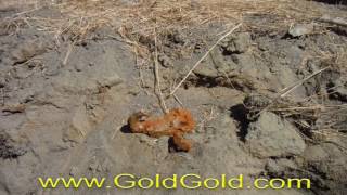 Gold Prospecting  Here is what ancient streambed looks like [upl. by Bough]