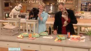 Healthy Pet Food ⎢Dr Marty Goldstein ⎢Martha Stewart [upl. by Gaillard]