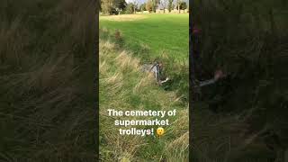 Brookvale Park where people dump their supermarket trolleys Birmingham Oct 2016 [upl. by Ttayh]