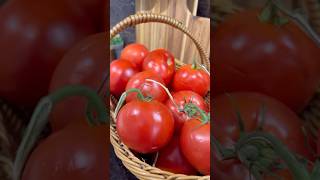 How to Make Homemade Organic Tomato Paste Simple and Delicious Recipe tomatopaste cookingtips [upl. by Eveneg174]