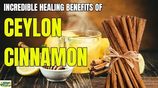 The Incredible Healing Benefits of Ceylon Cinnamon [upl. by Whiffen]