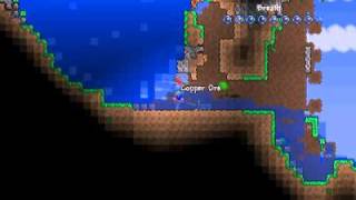 Water Physics Demonstration in Terraria [upl. by Tenaj755]