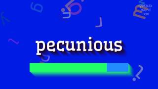 PECUNIOUS  HOW TO PRONOUNCE IT [upl. by Starinsky]