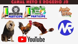 RESULTADO AO VIVO ROGERIO E NETO JB  FEDERAL  23112024 [upl. by Izmar768]