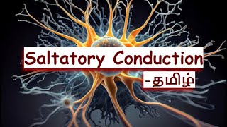 Propagation of action potential in தமிழ்  LLAP [upl. by Nnylirak]