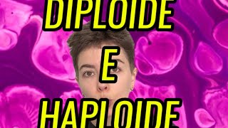 Qual a diferença entre célula diploide e haploide [upl. by Shaina]