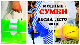 МОДНЫЕ СУМКИ Весна  Лето 2019 Тренды сезона Какие сумки в моде в 2019 году [upl. by Einohtna]