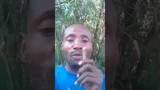 Gerry kobetox tres fâche contre Annie makwakala naba fan naye ndenge bâ manque maman respect [upl. by Nikaniki]