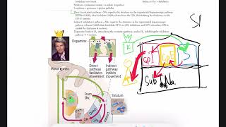 USMLE  Neurology Basal ganglia Direct and Indirect pathway Mnemonic [upl. by Rand]