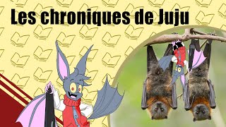 10 Choses Sur Les CHAUVESSOURIS [upl. by Jonah]