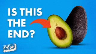 The RISE and FALL of Avocados [upl. by Ing]