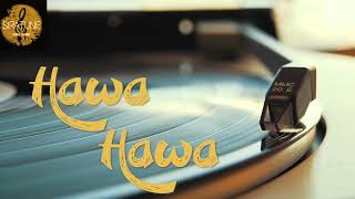 Hawa Hawa  Hassan Jahangir  Hindi  Remastered [upl. by Adnohryt]