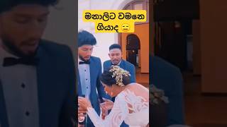 කෝ මනමාලයා නැද්ද 😂 ආතල් වෙඩින් එකක් නෙද 👀😍 wedding tiktok funny shorts trending viral [upl. by Ahsyat526]