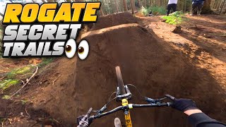 NEW SECRET JUMPS AT ROGATE BIKE PARK [upl. by Anekam]