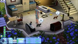 Lets Play Die Sims 3 Einfach Tierisch 022 Intime Zweisamkeit [upl. by Solohcin805]