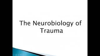 The Neurobiology of Trauma [upl. by Ameehsat923]