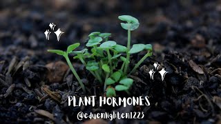 Plant hormones  Types of plant hormones Functions of plant hormones  Sites of plant hormones [upl. by Eseuqram]