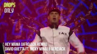 Afrojack Drops Only Tomorrowland 2016 [upl. by Par]