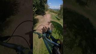 TIDY DARTS  DIRT FARM 🎯 wales dirtfarm bikes dhmtb bikepark fyp [upl. by Kesley]