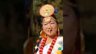 LIMBU  PALAM  SONG [upl. by Ahseenyt]