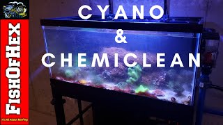 Using Chemiclean In The 300 Gallon Reef  Indepth Water Change [upl. by Nalor]