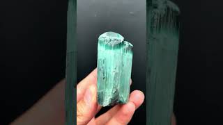 Tourmaline Crystal from Afghanistan  Fine Art Minerals  Tourmaline [upl. by Elacim539]