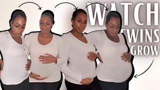 TWIN PREGNANCY TRANSFORMATION WEEK BY WEEK belly growth with twins [upl. by Nosloc761]