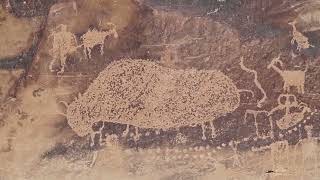 Buffalo Petroglyph Ninemile Canyon Utah [upl. by Llekram]