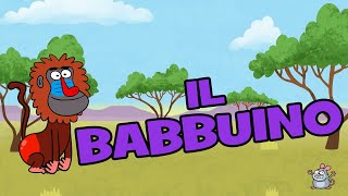 Canzone sugli animali  Il Babbuino  Evviva Canzoni Per Bambini [upl. by Ximenes871]