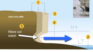 Cliffs and Wavecut platforms [upl. by Oregolac]