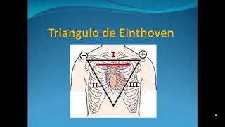 Triangulo de Einthoven [upl. by Maril757]