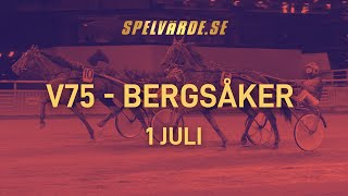 Uppsnack V75 Bergsåker 17 [upl. by Aicenert]